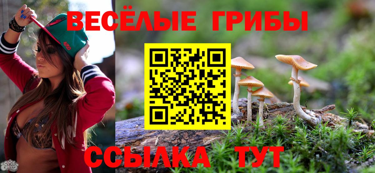 Псилоцибиновые грибы MAGIC MUSHROOMS Кулебаки