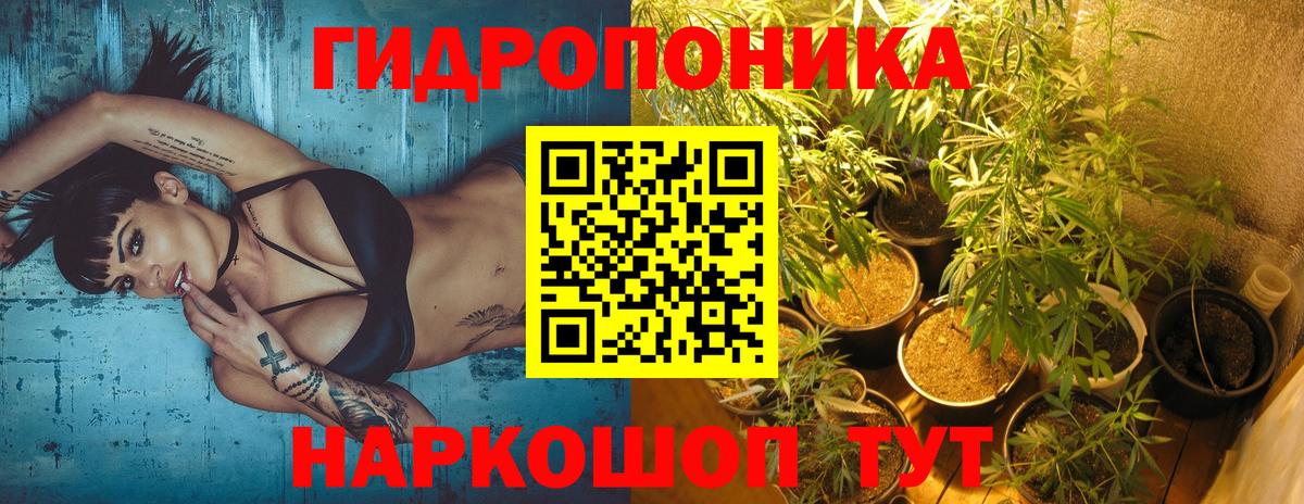 МАРИХУАНА White Widow Кулебаки